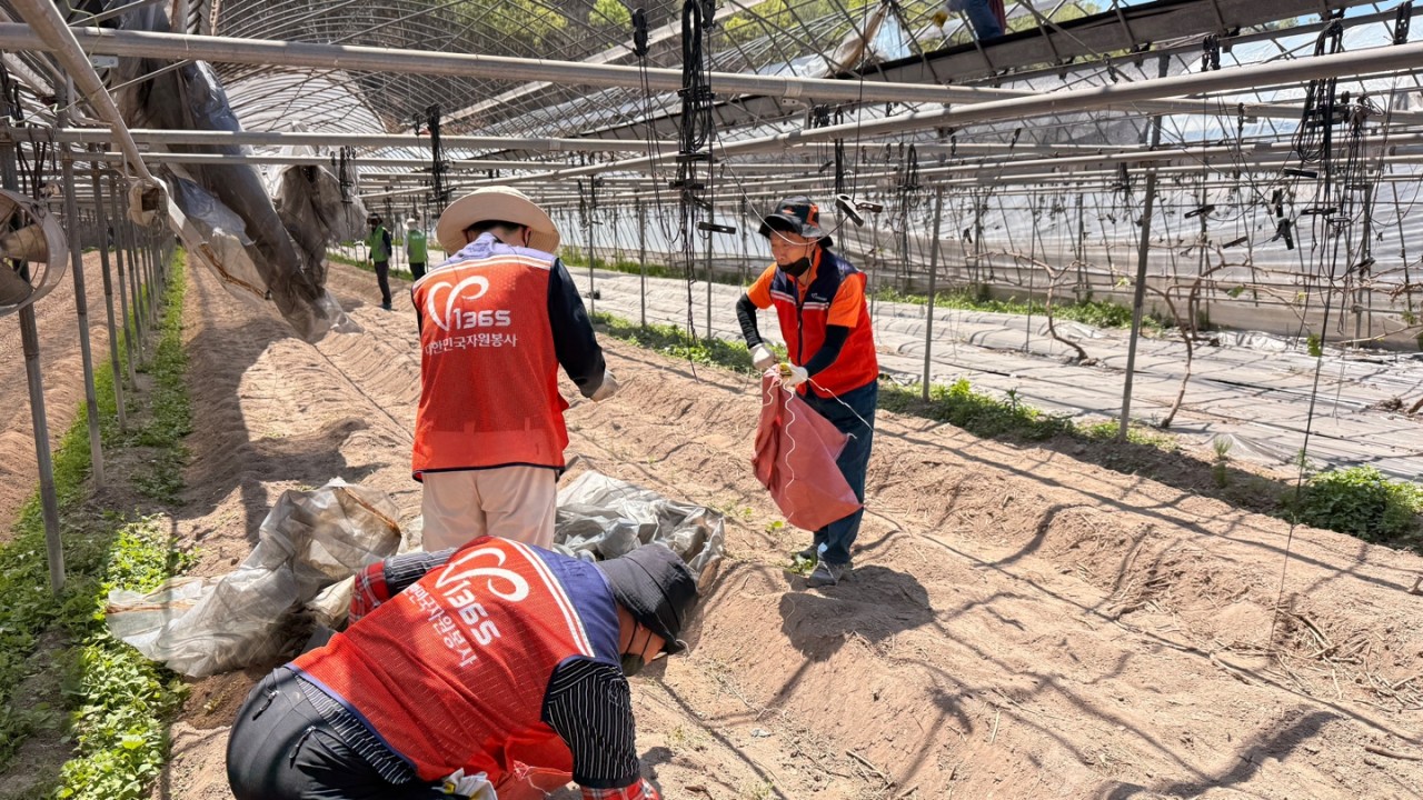 (사)동구자원봉사센터_사진_20250429_2.jpg