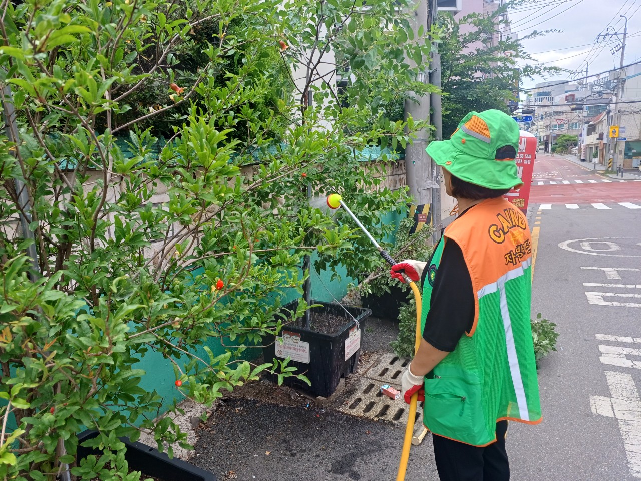 (사)동구자원봉사센터_사진_20260620_4.jpg